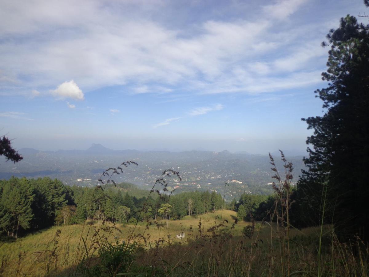 Nisha Homestay Inn Peradeniya Ngoại thất bức ảnh